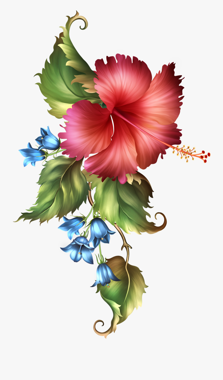 Fashionably Florale Hoe, Simply Beautiful, Flora, Frames, - Cuadro De Pinturas Png, Transparent Clipart