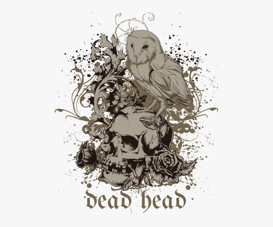 Transparent Dead Bird Png - Barn Owl, Transparent Clipart