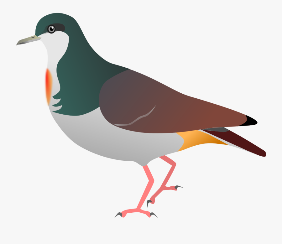 Negros Bleeding Heart Drawing, Transparent Clipart