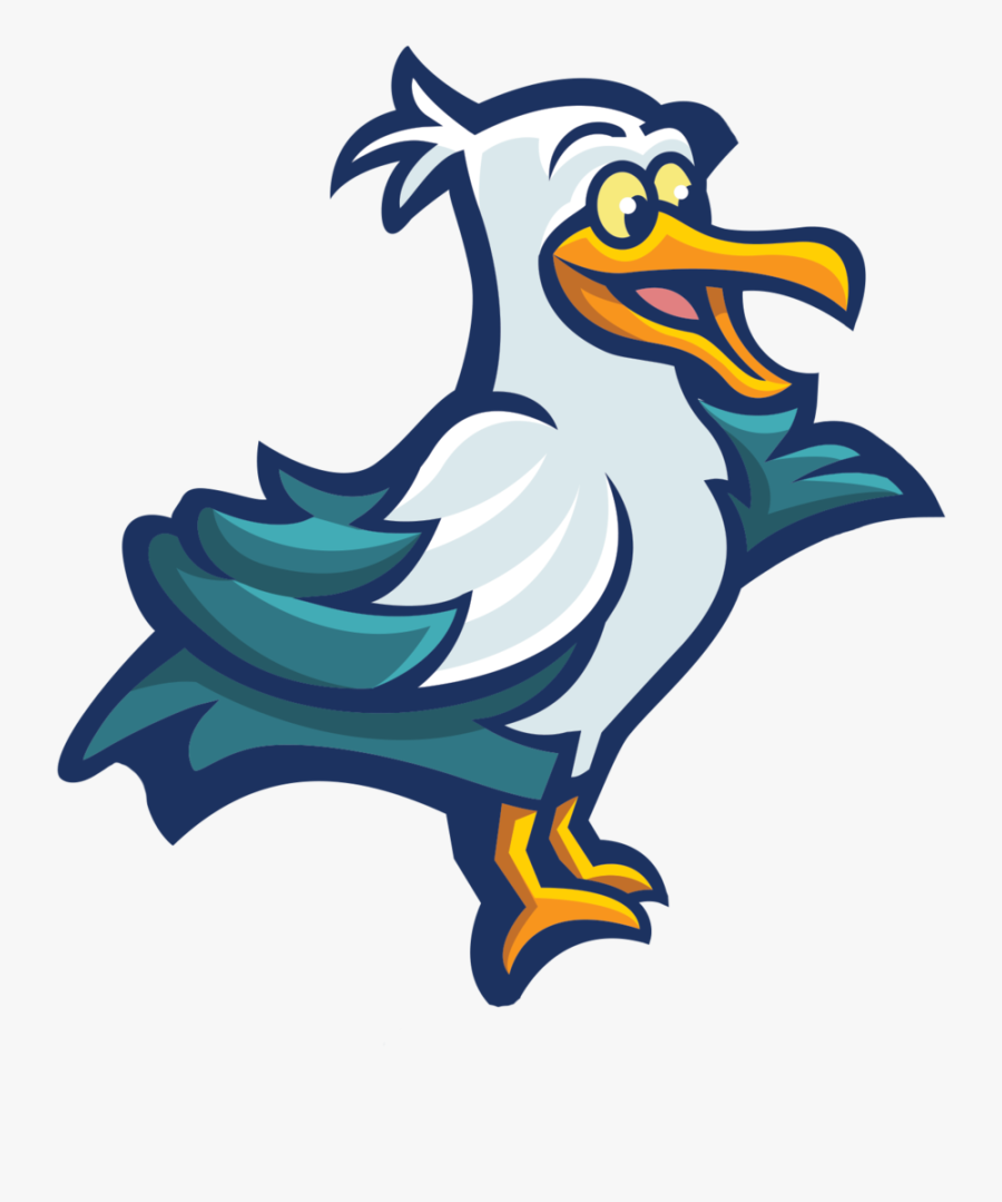 Transparent Feedback Png - Seabird, Transparent Clipart