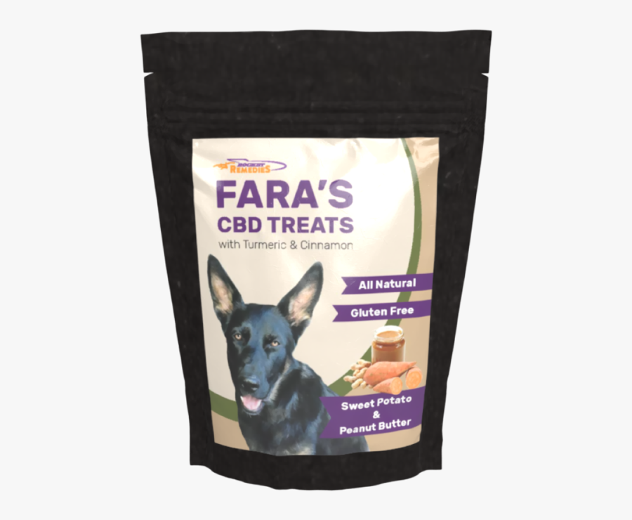 Chihuahua, Transparent Clipart