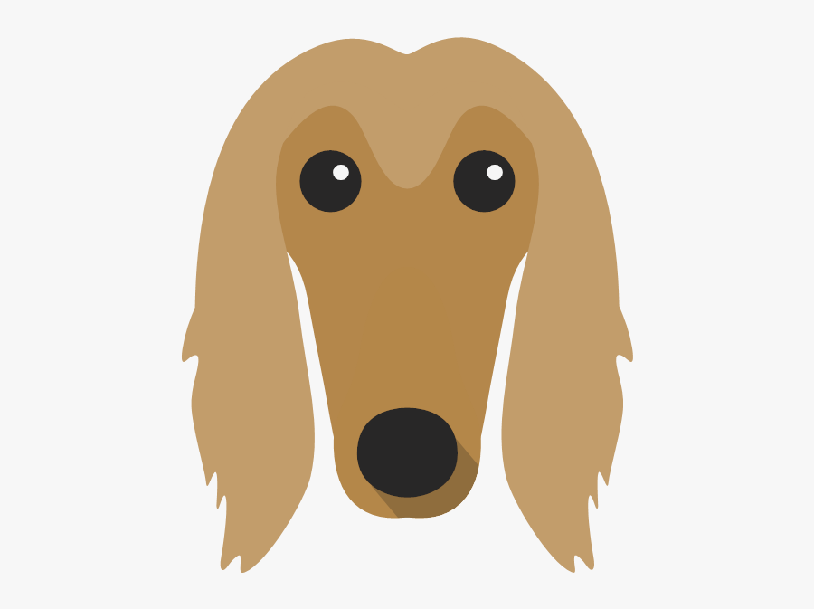 Afghan Hound, Transparent Clipart