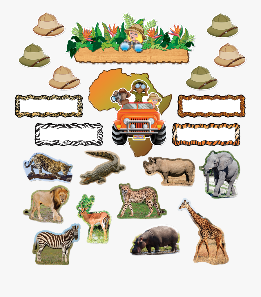 Safari Hat Bulletin Board, Transparent Clipart