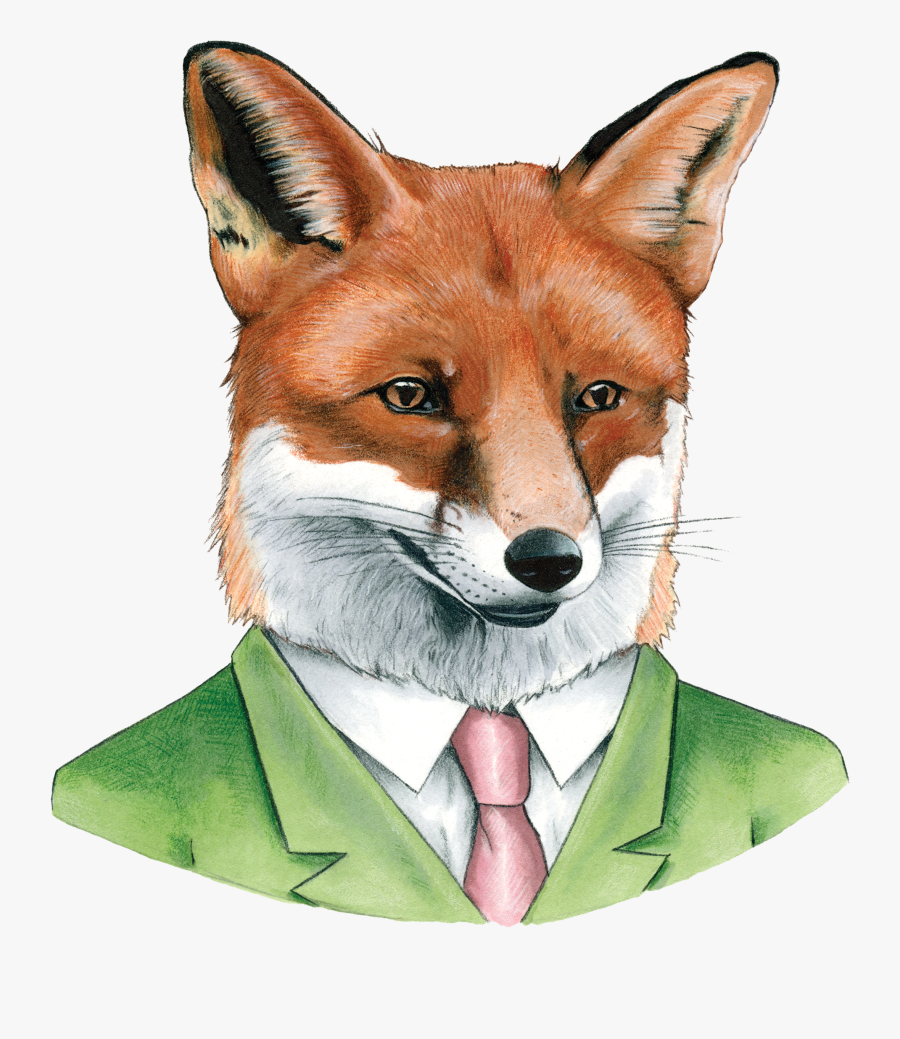 Clip Art Pictures Of Red Fox - Berkley Illustration, Transparent Clipart
