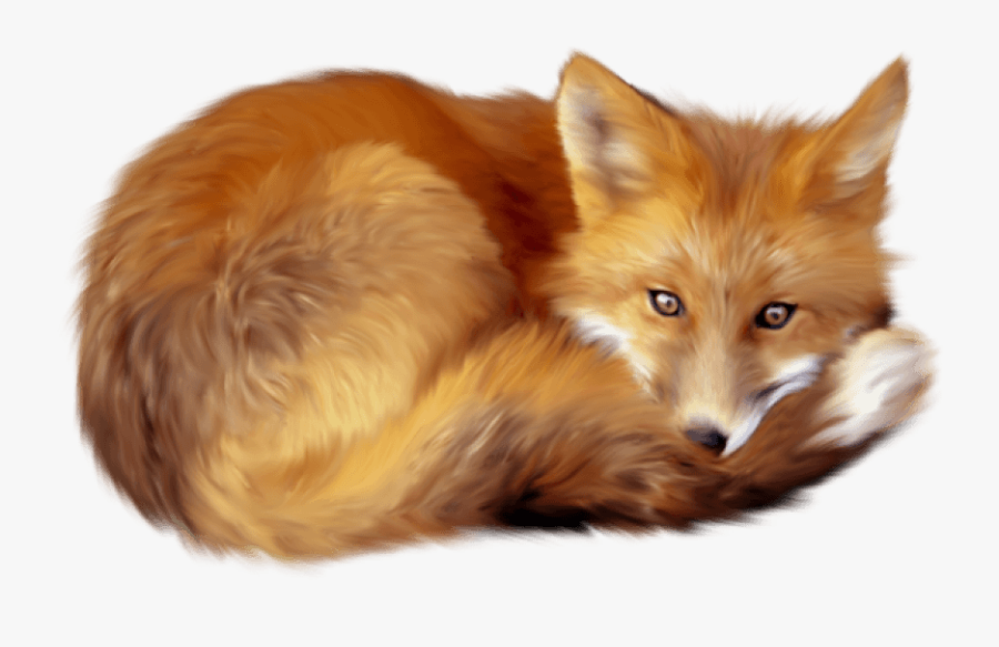 Png Free Images Toppng - Fox Png, Transparent Clipart