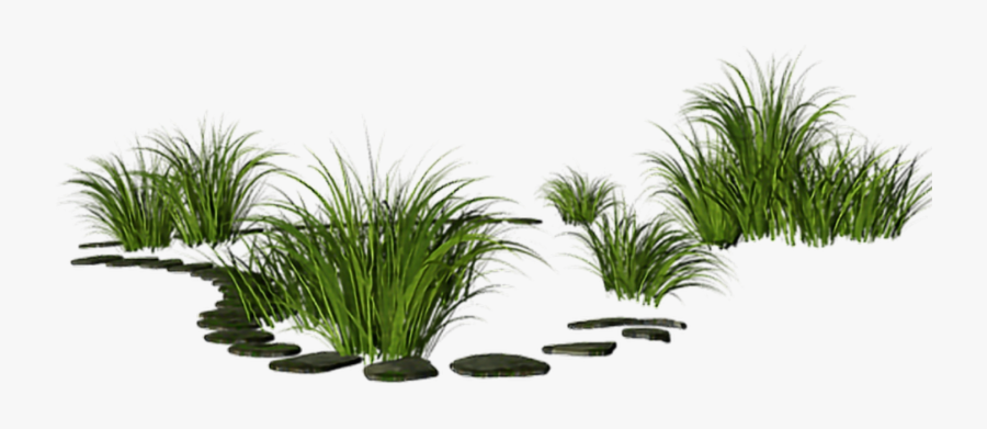 #art #grass #pathway #stones #stickers - Çimen Çiçek Png, Transparent Clipart