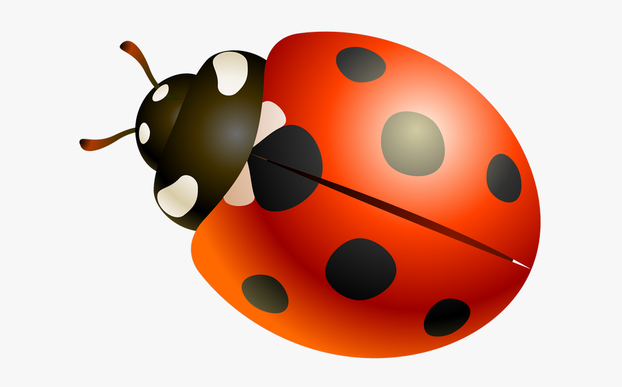 Png Papercraft And - Ladybug, Transparent Clipart