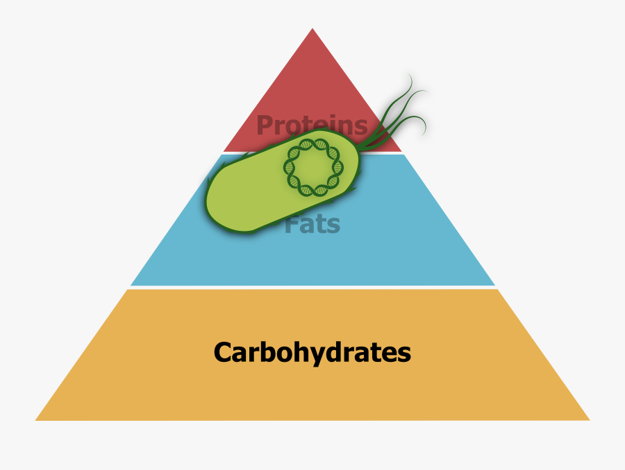 Authority Pyramid, Transparent Clipart