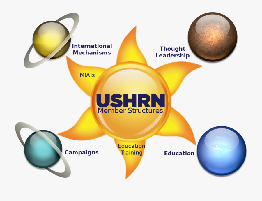 Ushrn Organizational Structure - Icon, Transparent Clipart