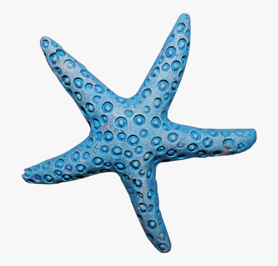 Estrella De Mar Png, Transparent Clipart