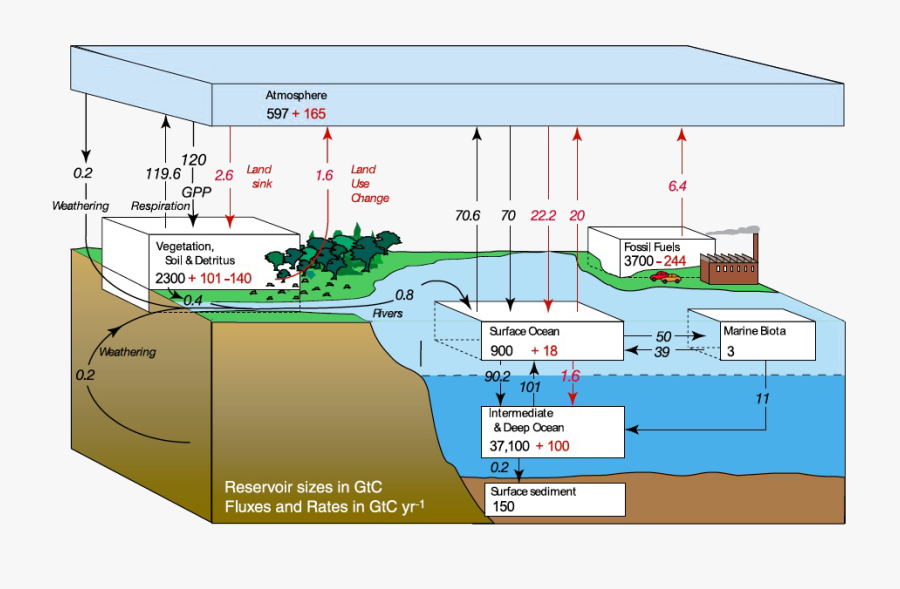 Global Carbon Cycle Ipcc, Transparent Clipart