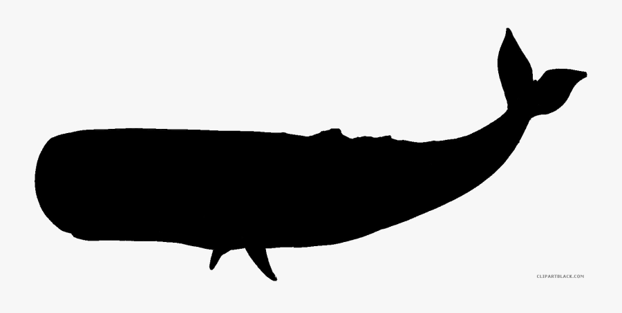 Whale Silhouette Png - Whale Silhouette Transparent Background, Transparent Clipart
