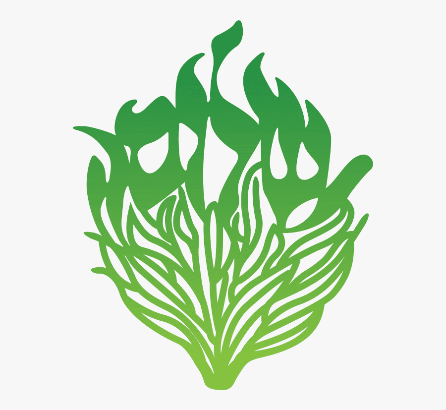 Temple Sholom Cincinnati Logo, Transparent Clipart