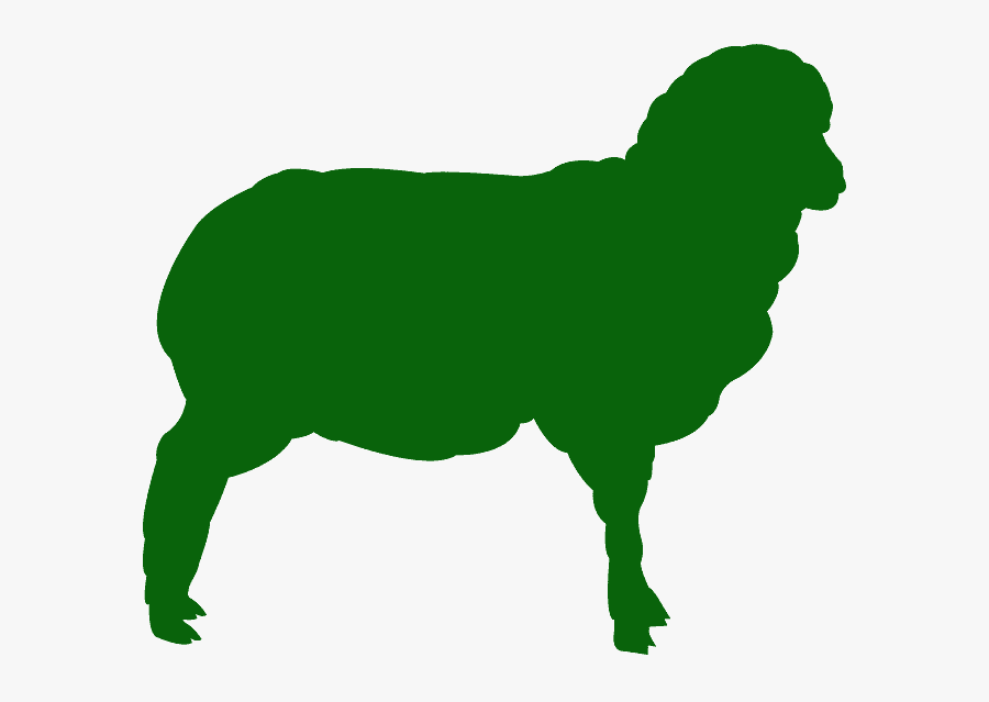 Green Horse Silhouette, Transparent Clipart