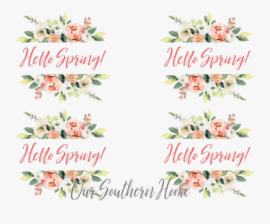 Garden Roses , Transparent Cartoons - Garden Roses, Transparent Clipart