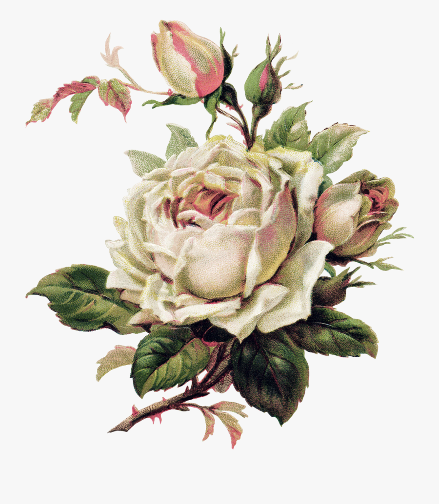 Beautiful And Flower Varieties For Tattoo Clipart - White Flowers Png Vintage, Transparent Clipart