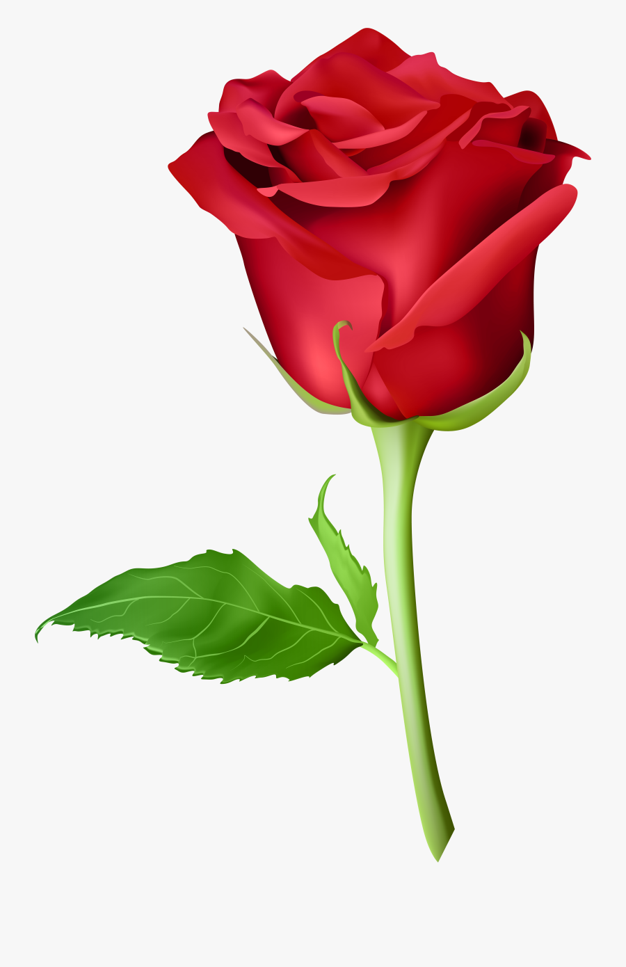 Pin By Kittu Raja On Nk - Picsart Rose Png Hd, Transparent Clipart