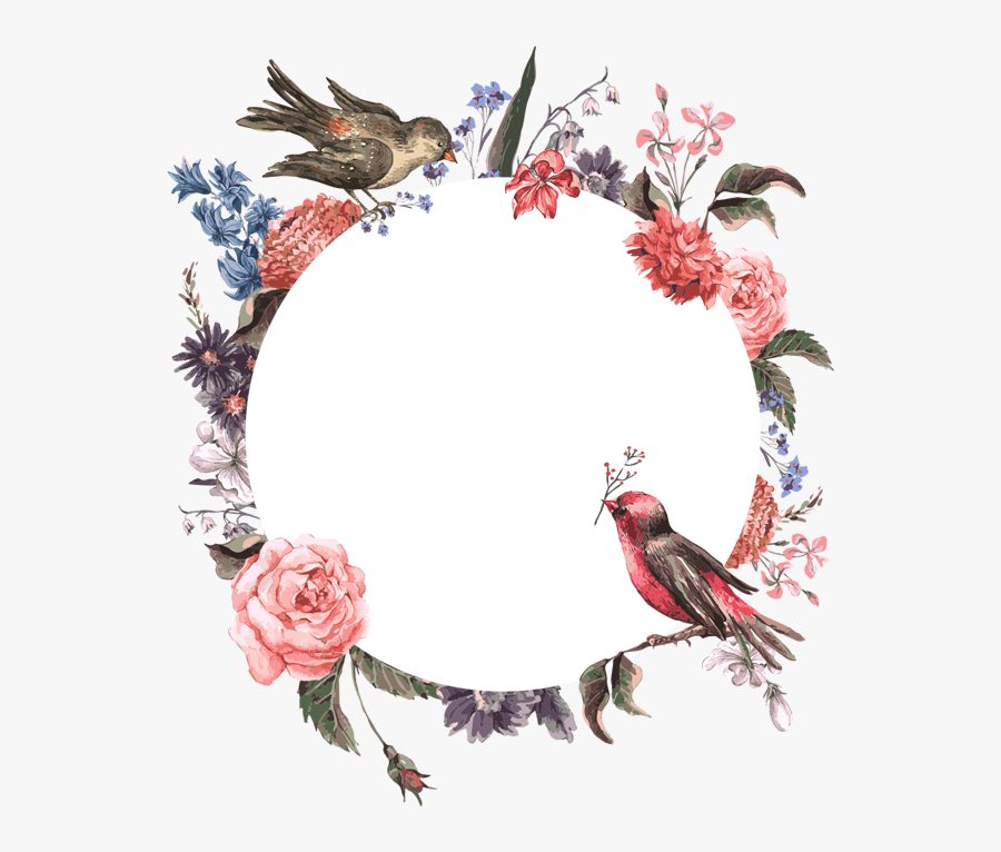 Garden Roses, Transparent Clipart