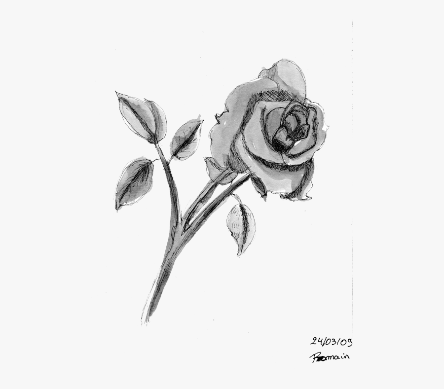 Rose Noir Et Blanc, Transparent Clipart