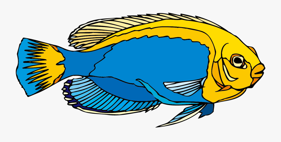 Angelfish Clipart Blue Yellow Fish, Transparent Clipart