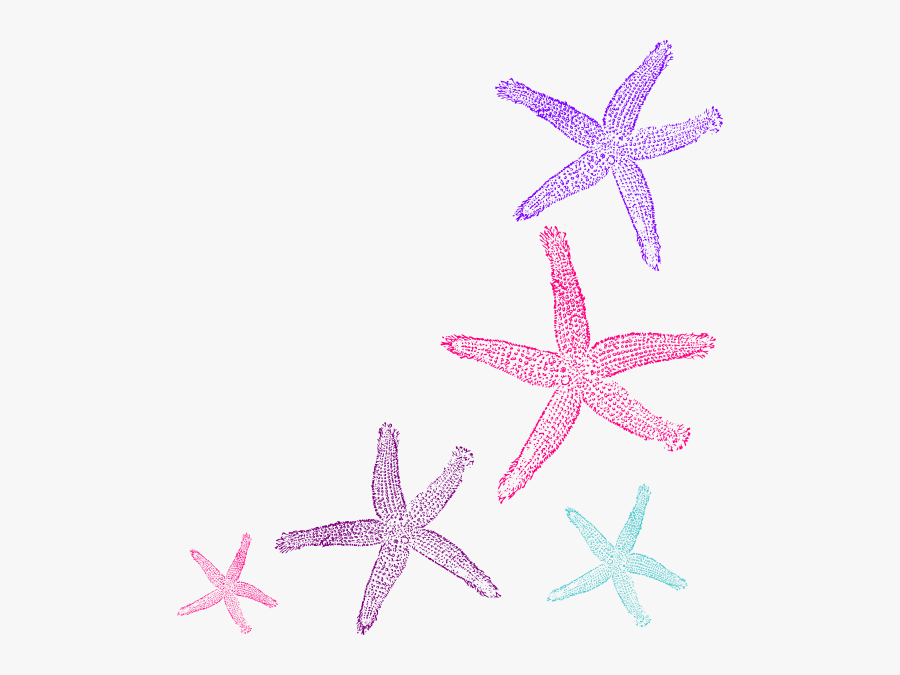 Coral Starfish, Transparent Clipart