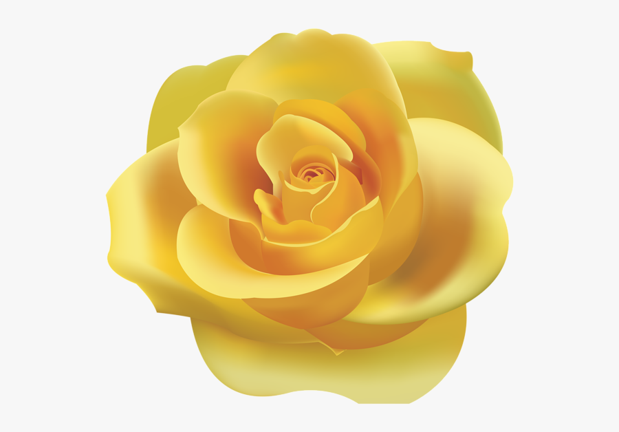 Rose Clipart Yellow Rose - Yellow Rose Clipart Png, Transparent Clipart