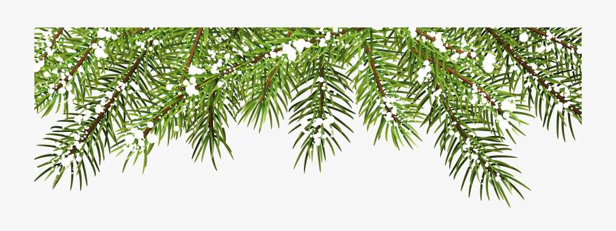 Christmas Pine Branches Decor Png Clip Art - Christmas Pine Branches Png, Transparent Clipart