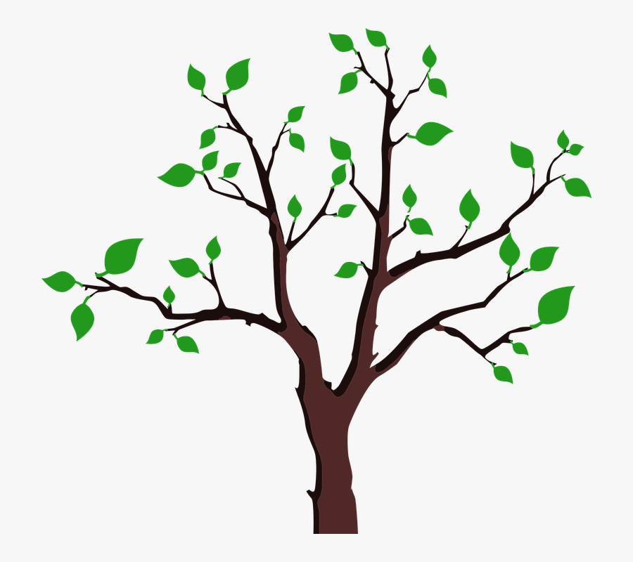 Cartoon Tree With Branches 19, Buy Clip Art - Tree Sparse, Transparent Clipart
