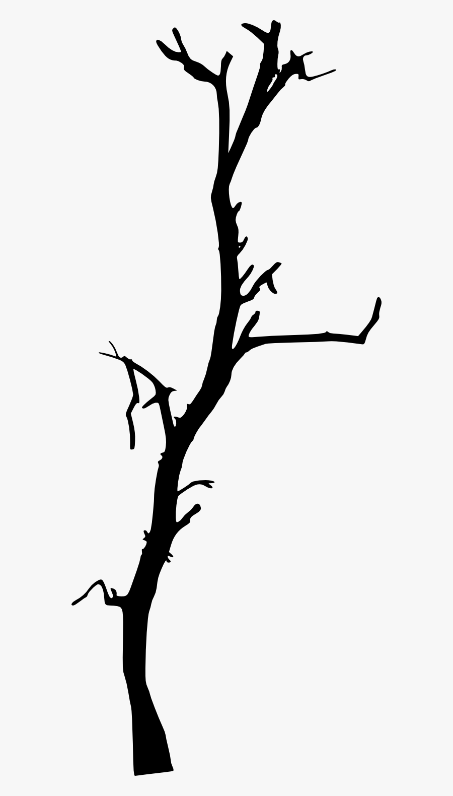 Dead Branches Png Clipart , Png Download - Dead Tree Branch Png, Transparent Clipart