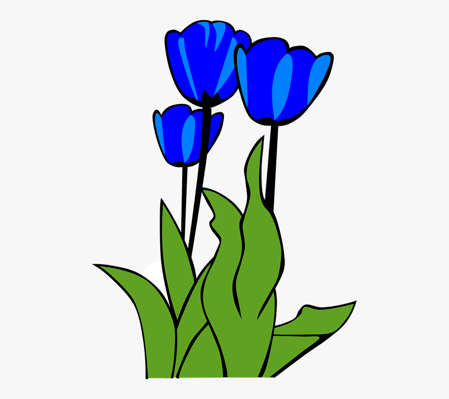 Tulips, Flowers, Plant, Leaves, Spring - Tulip Clip Art, Transparent Clipart