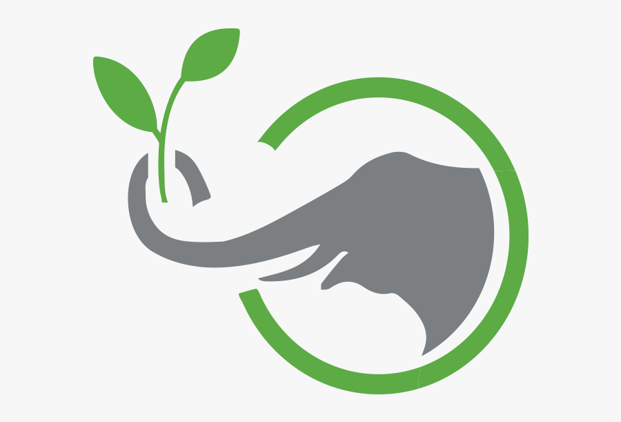 Of Battles Within, Transparent Clipart