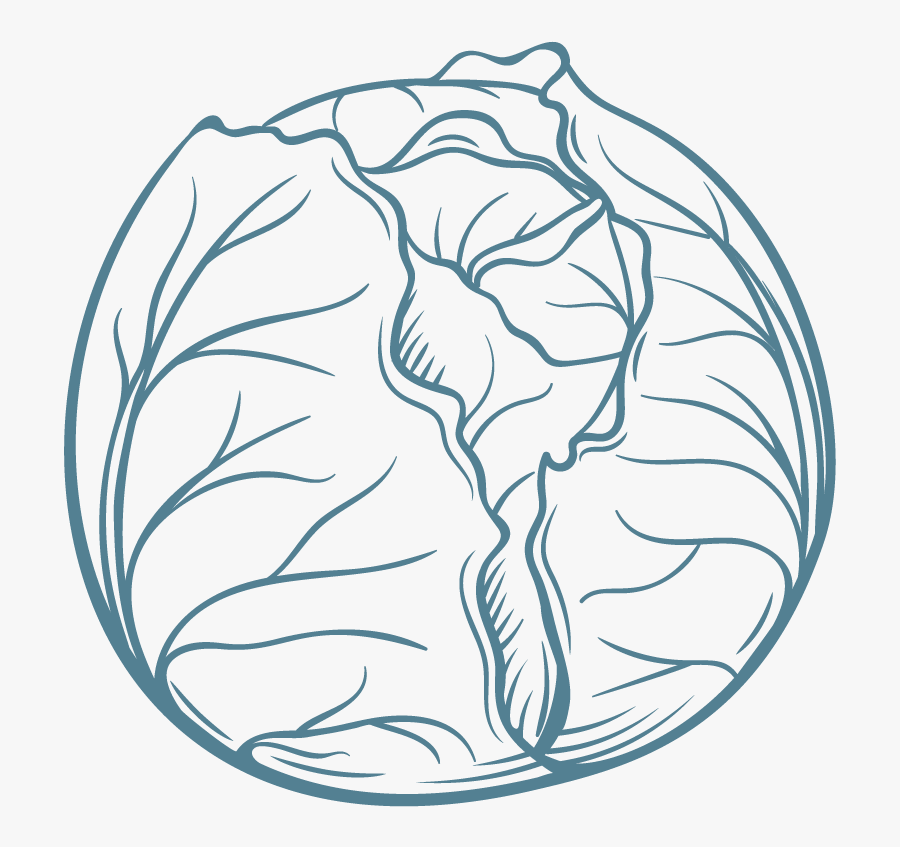 Drawing, Transparent Clipart