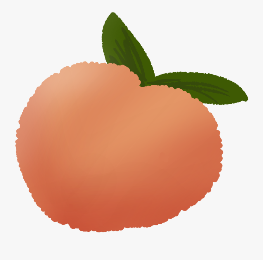 Illustration, Transparent Clipart