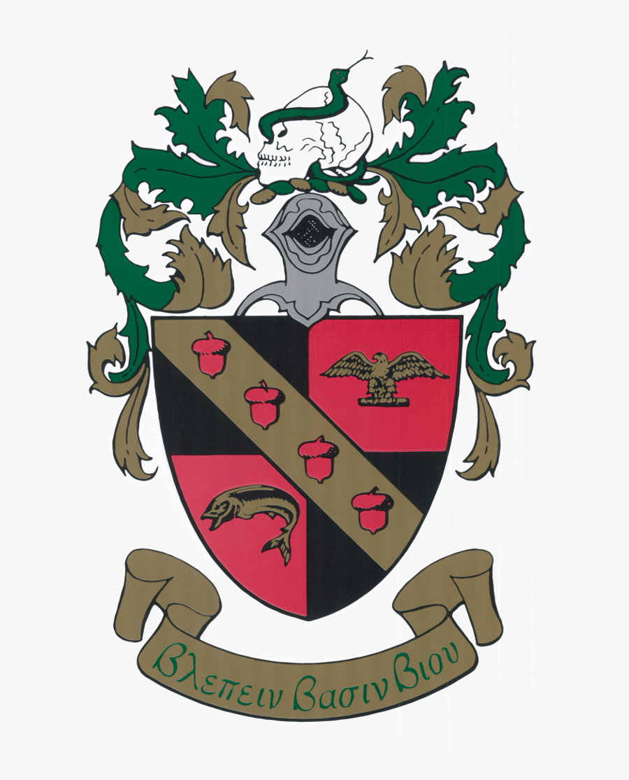 Picture, Transparent Clipart