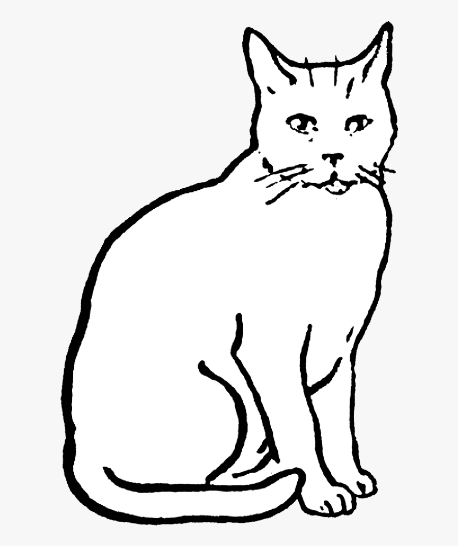 Black And White Cat Drawing, Transparent Clipart