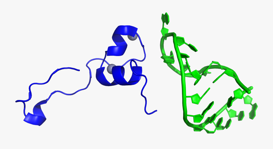 6cyt Hiv Tat Tar Complex - Illustration, Transparent Clipart