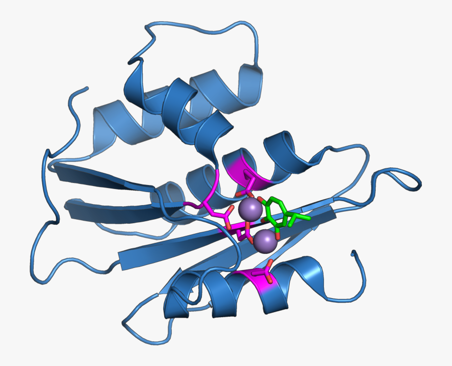 3k2p Hiv Rnaseh Inhibitor - Catalytic Site Of Ribonuclease, Transparent Clipart
