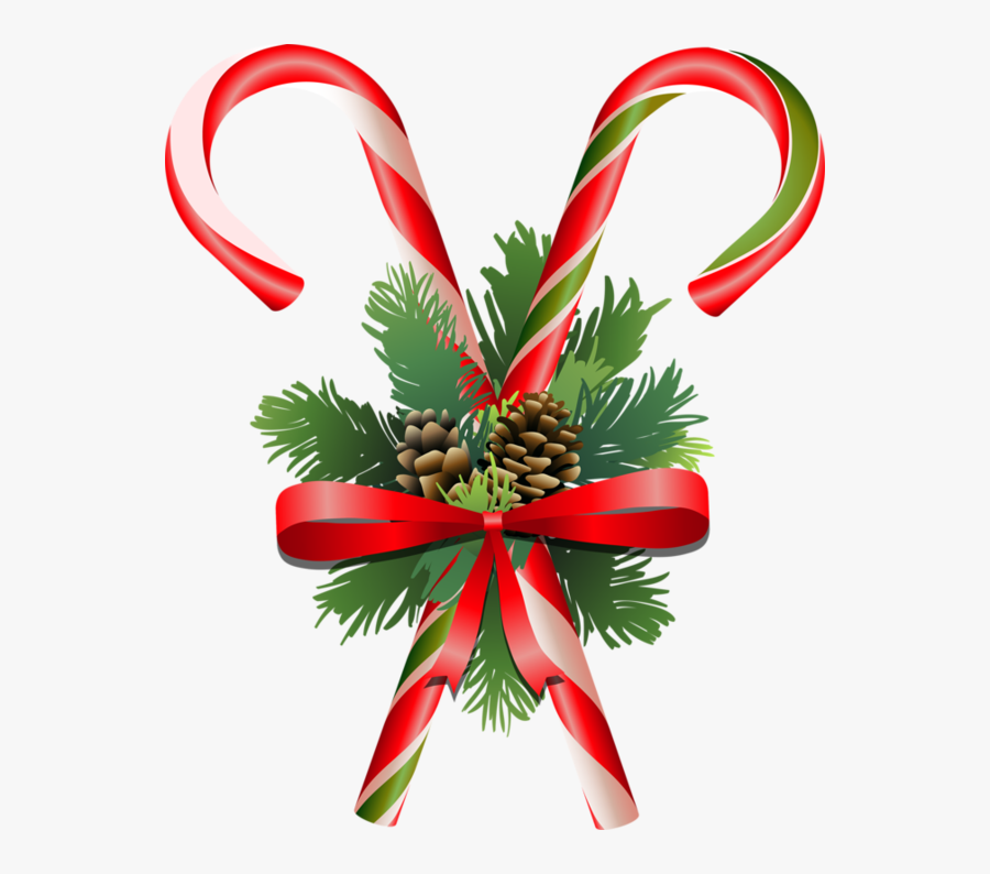 Christmas Day - Spruce, Transparent Clipart