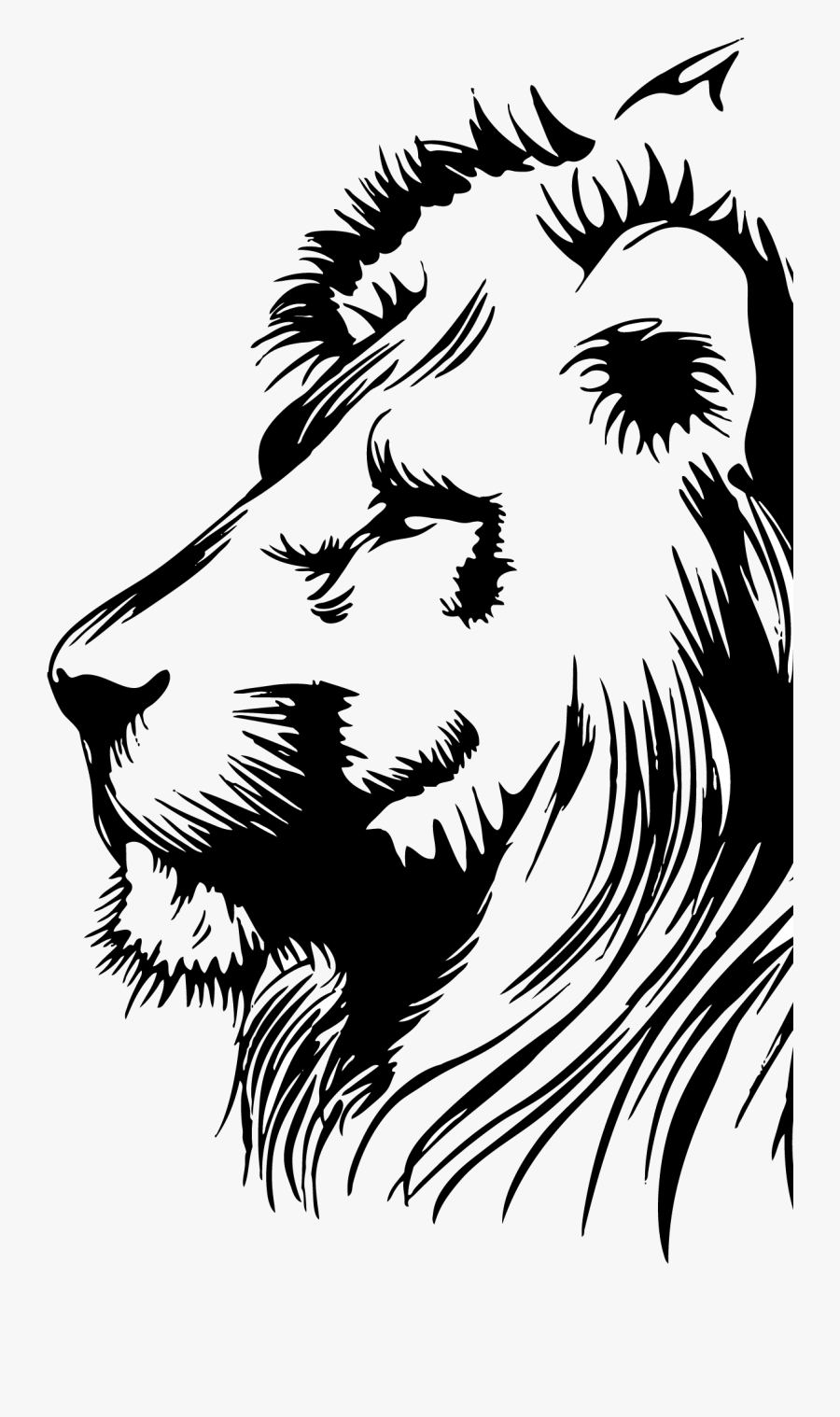 Lion Clip Art Portable Network Graphics Image Illustration - Leon De Juda Png, Transparent Clipart