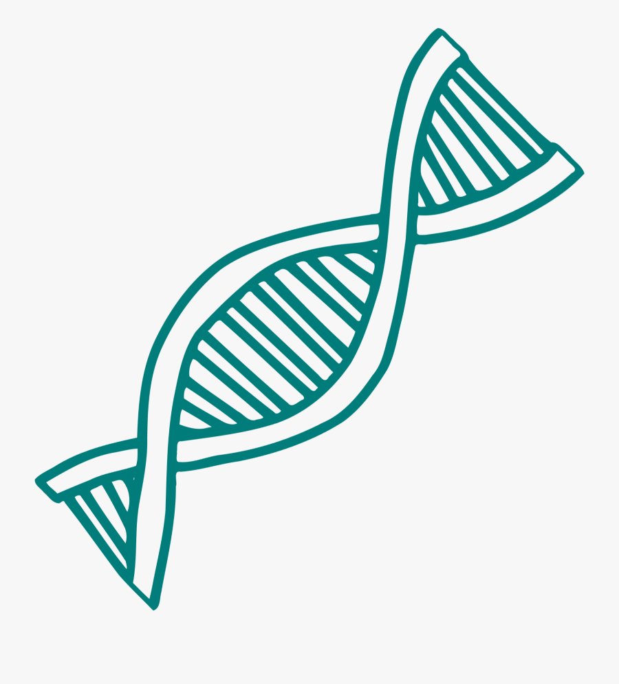 Dna Red And Blue, Transparent Clipart
