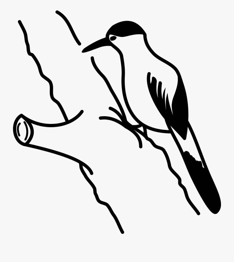 Woodpecker Bird Nature Free Picture - Pica Pau Ave Png, Transparent Clipart