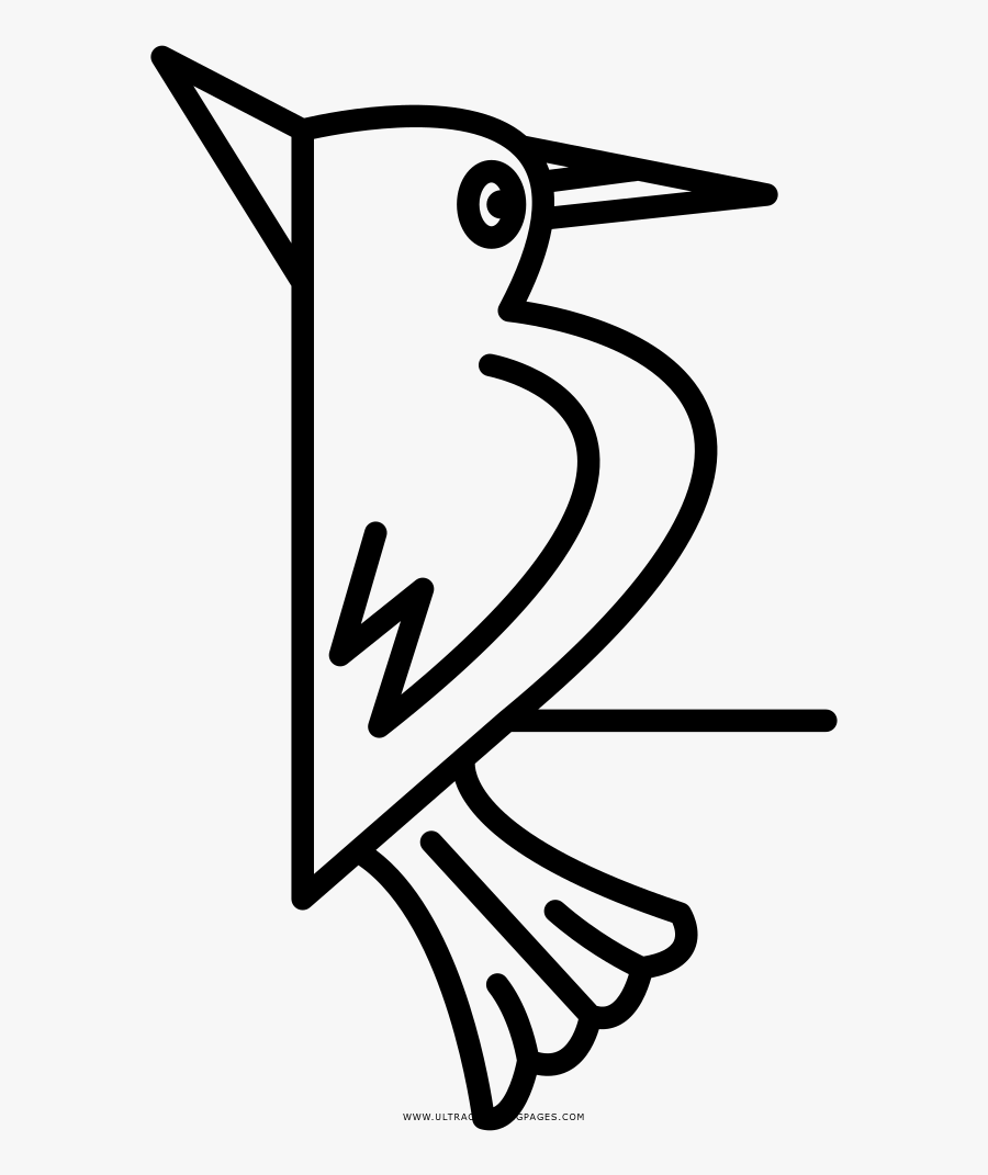 Woodpecker Coloring Page Pajaro Carpintero Dibujo Facil