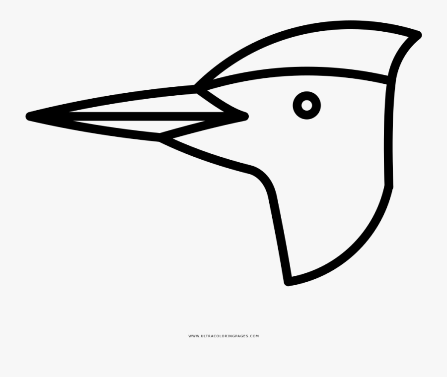 Woodpecker Head Coloring Page, Transparent Clipart