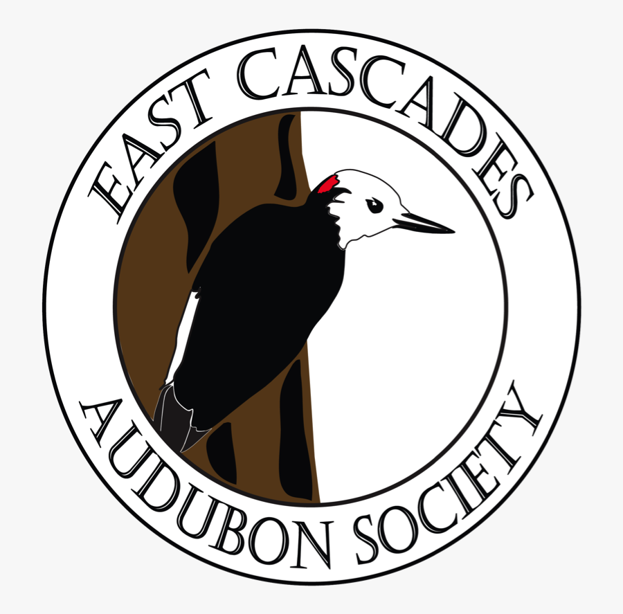 East Cascades Audubon - Illustration, Transparent Clipart