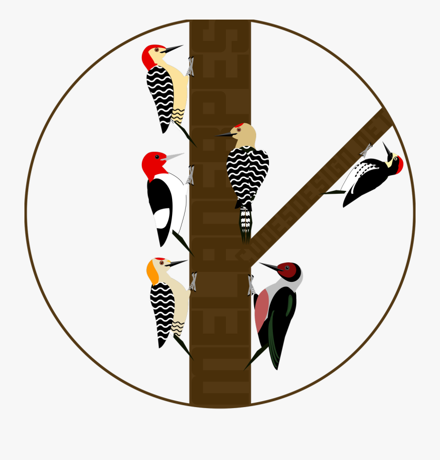 Kids Castle, Transparent Clipart