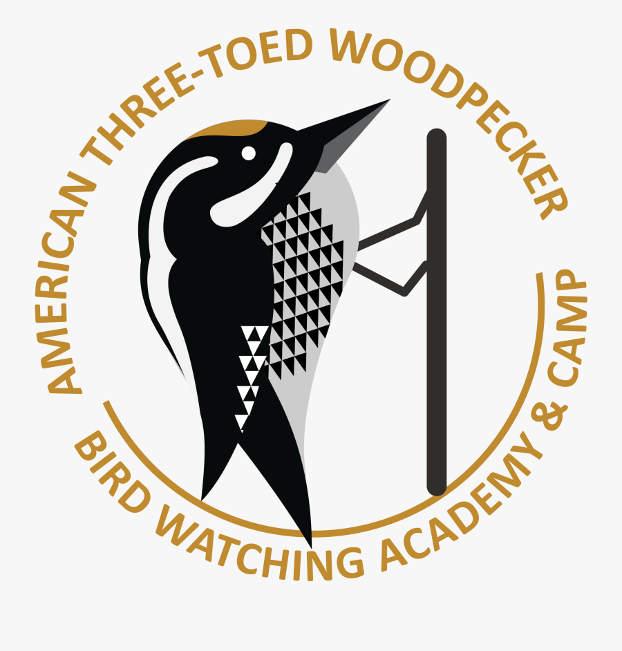 American Three-toed Woodpecker Picture - Gambar Pin Nabi Muhammad, Transparent Clipart