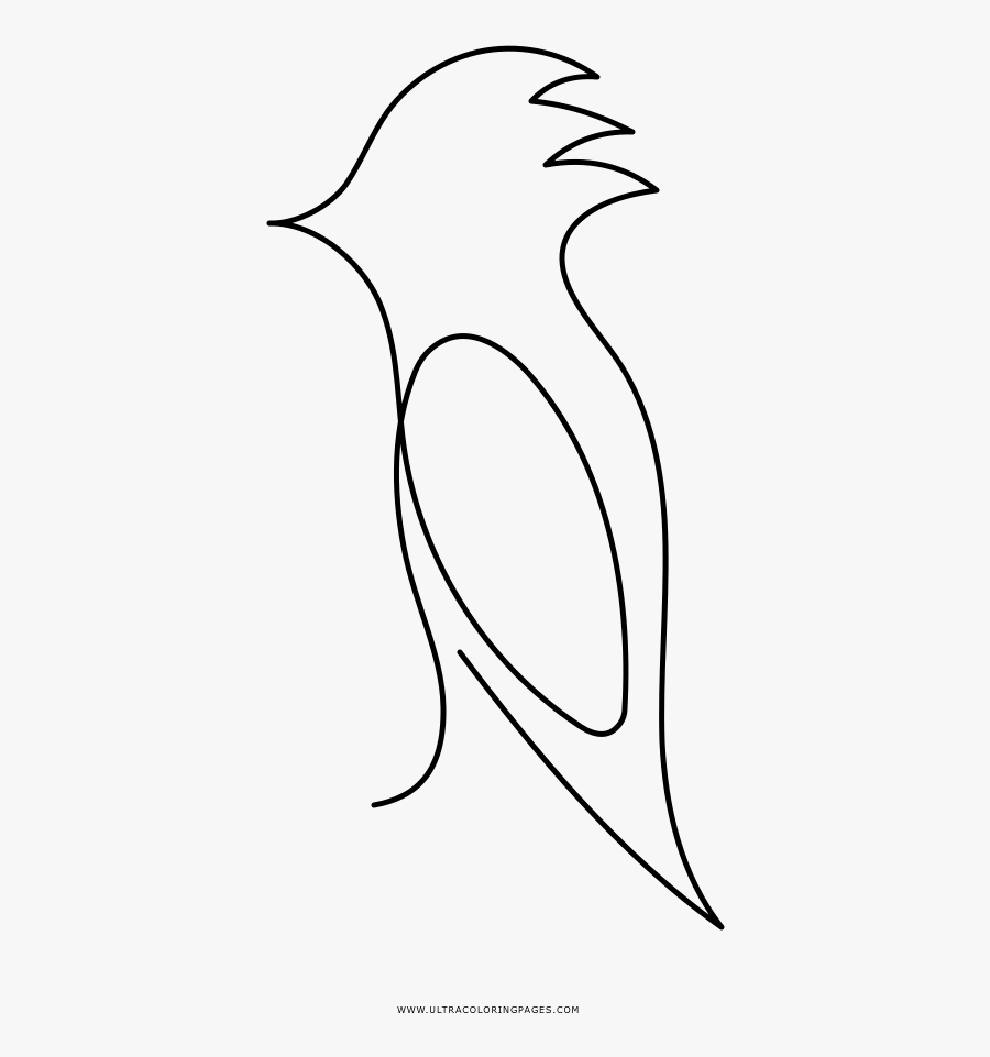 Woodpecker Coloring Page - Line Art, Transparent Clipart