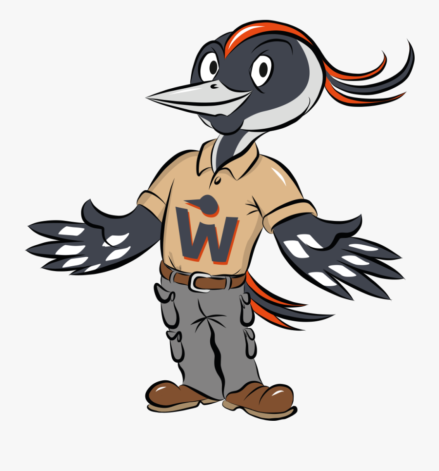 Woodpecker Specht Grafik, Transparent Clipart