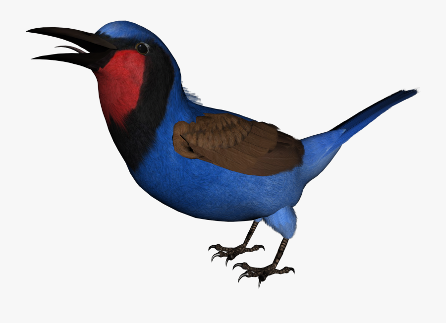 Posted By Todd A At - Swallow, Transparent Clipart