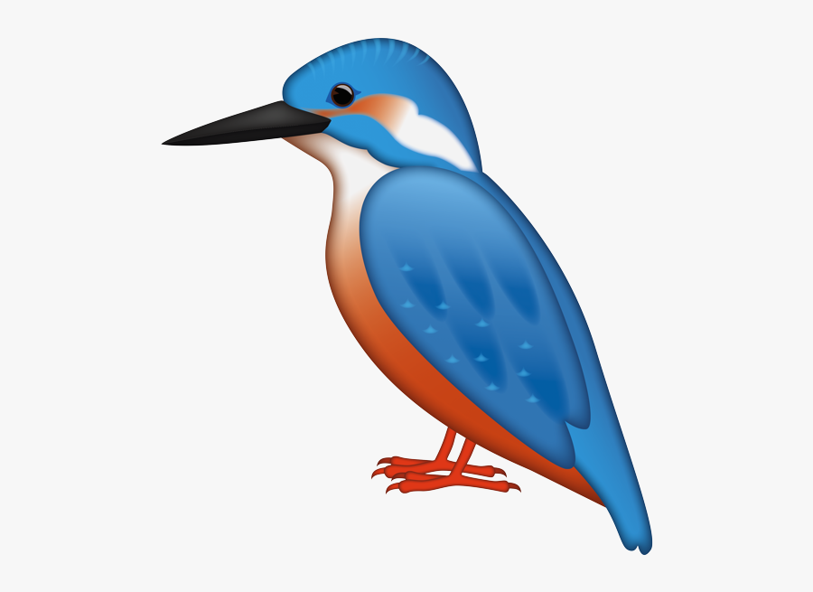 Woodpecker, Transparent Clipart